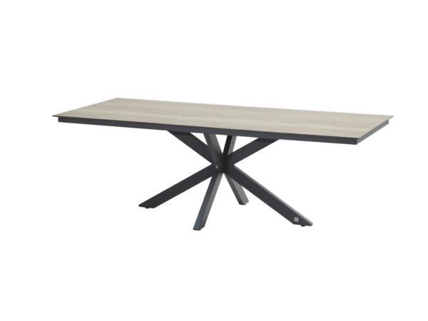 Minerva Tafel 220