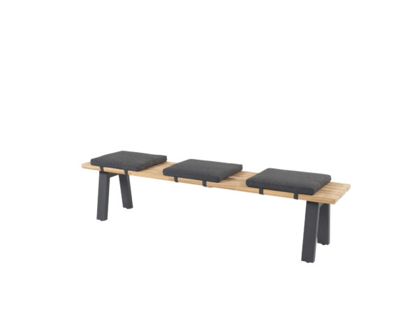 Ambassador sportbench